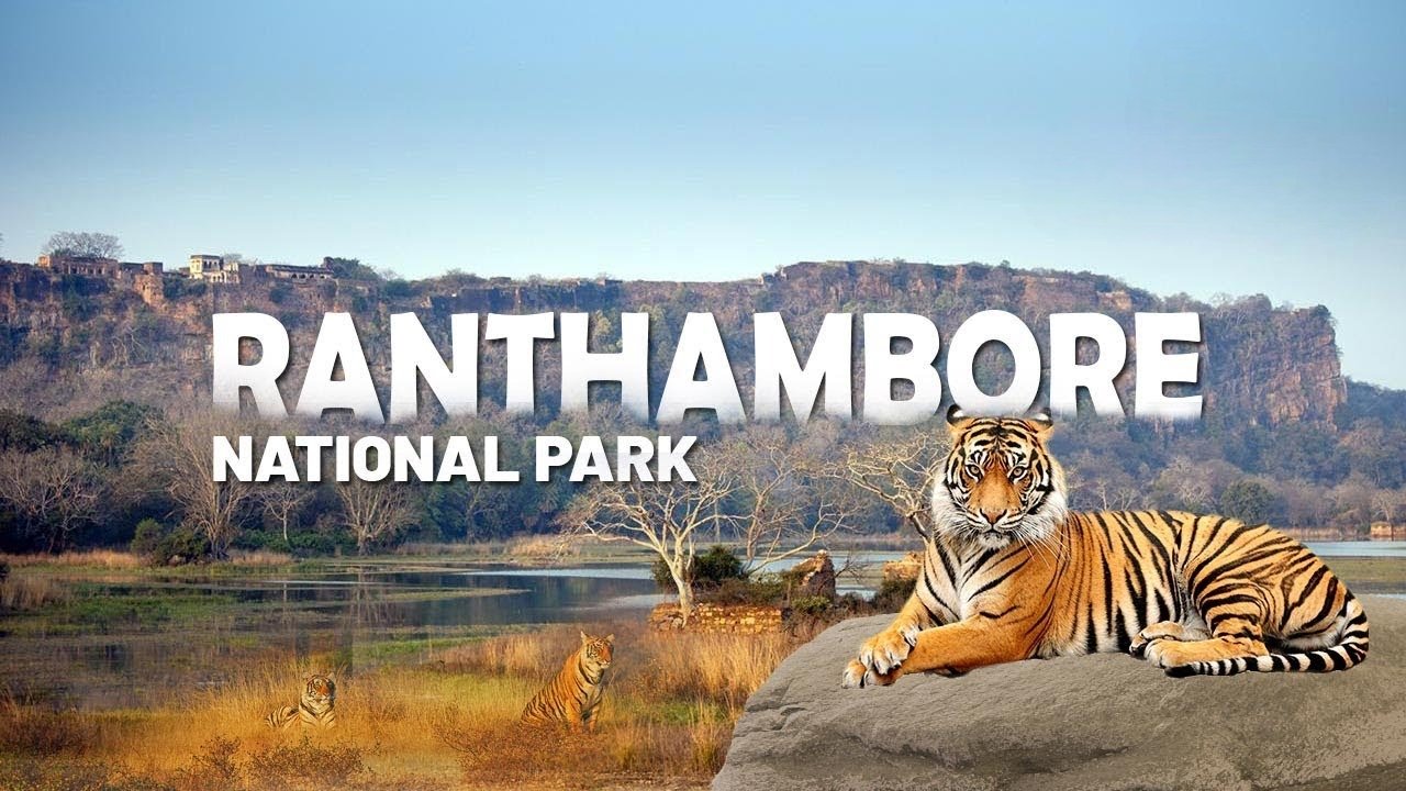 Ranthambore National Park Itinerary